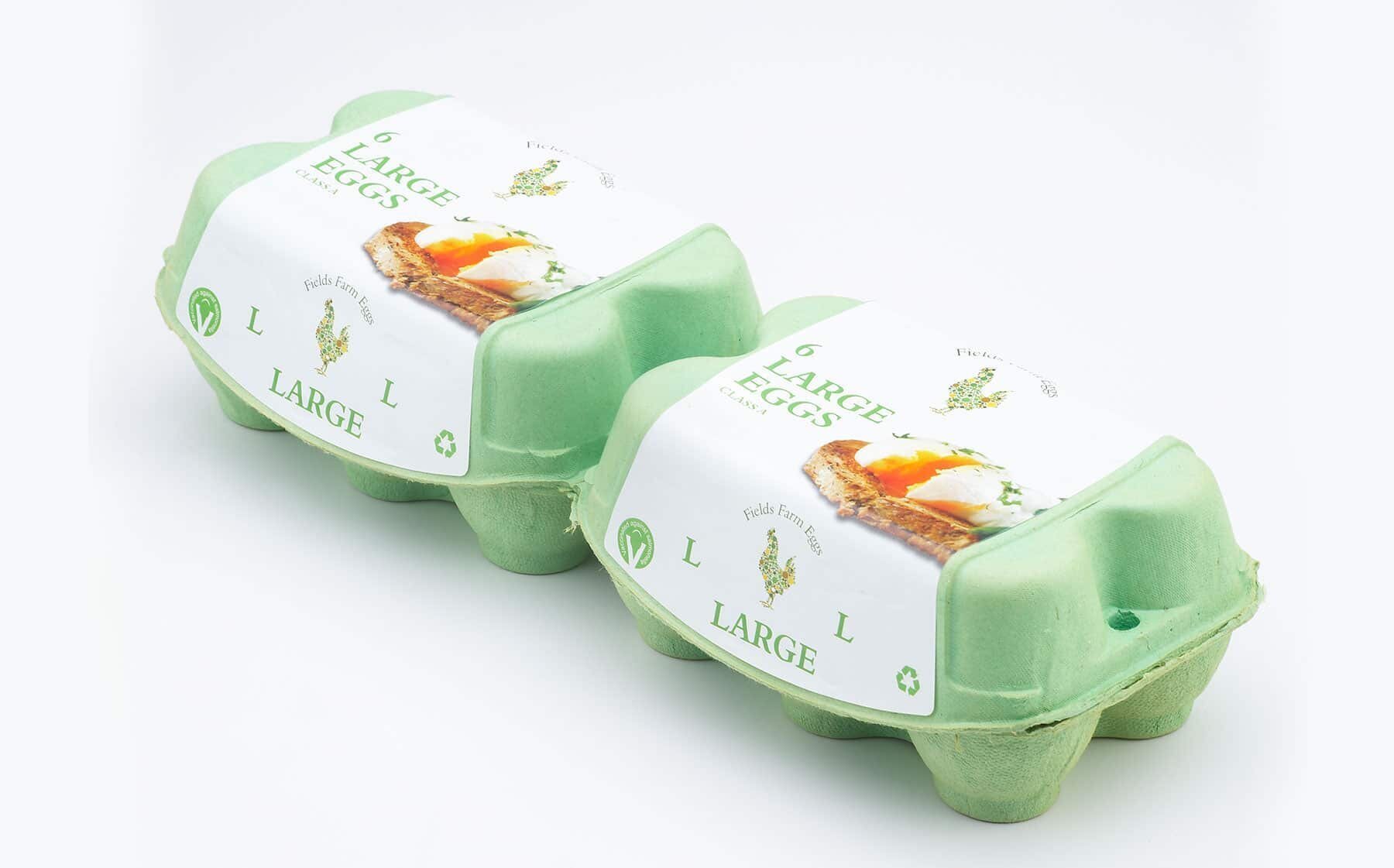 Field farm eggs