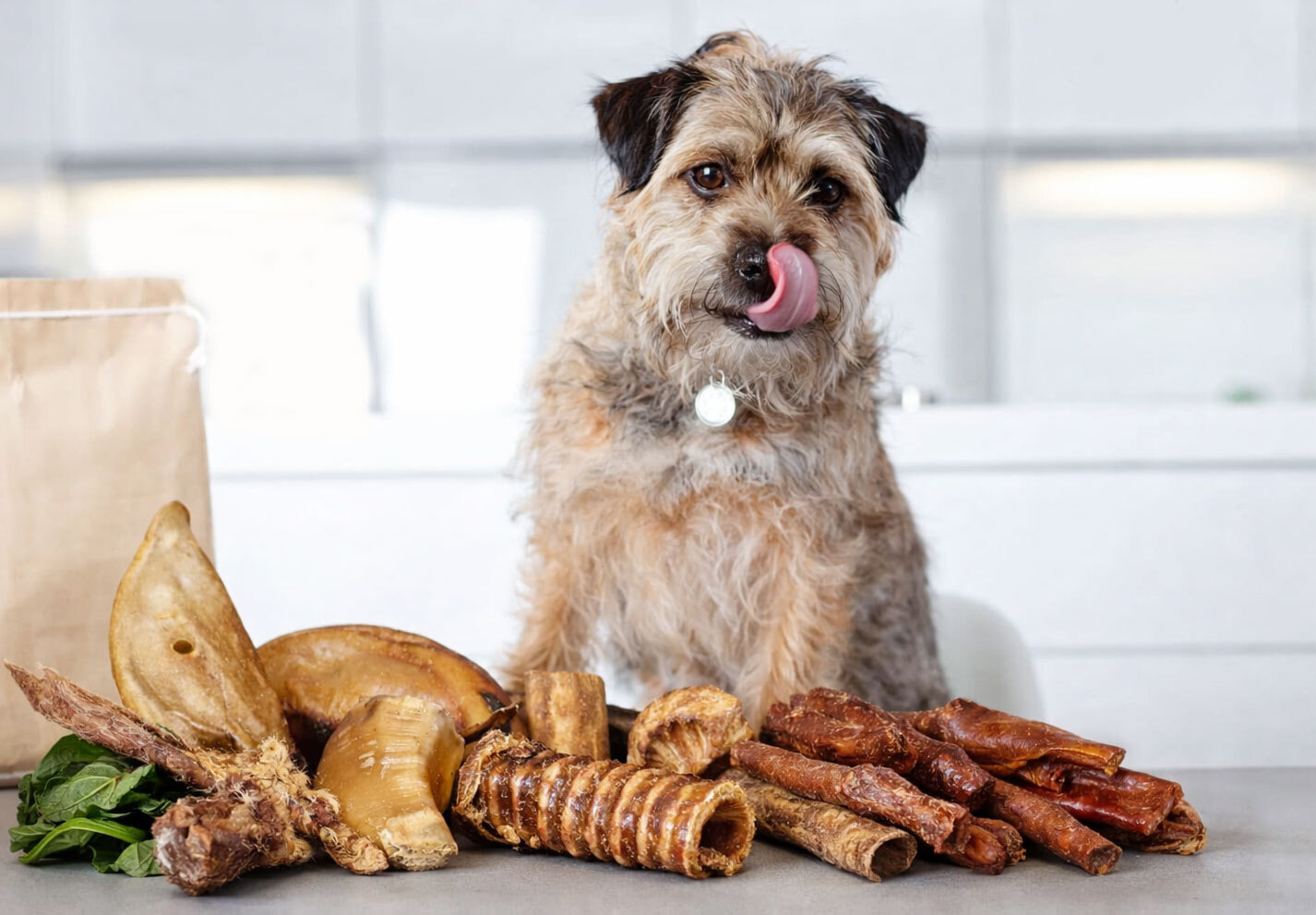Chomp and Chew