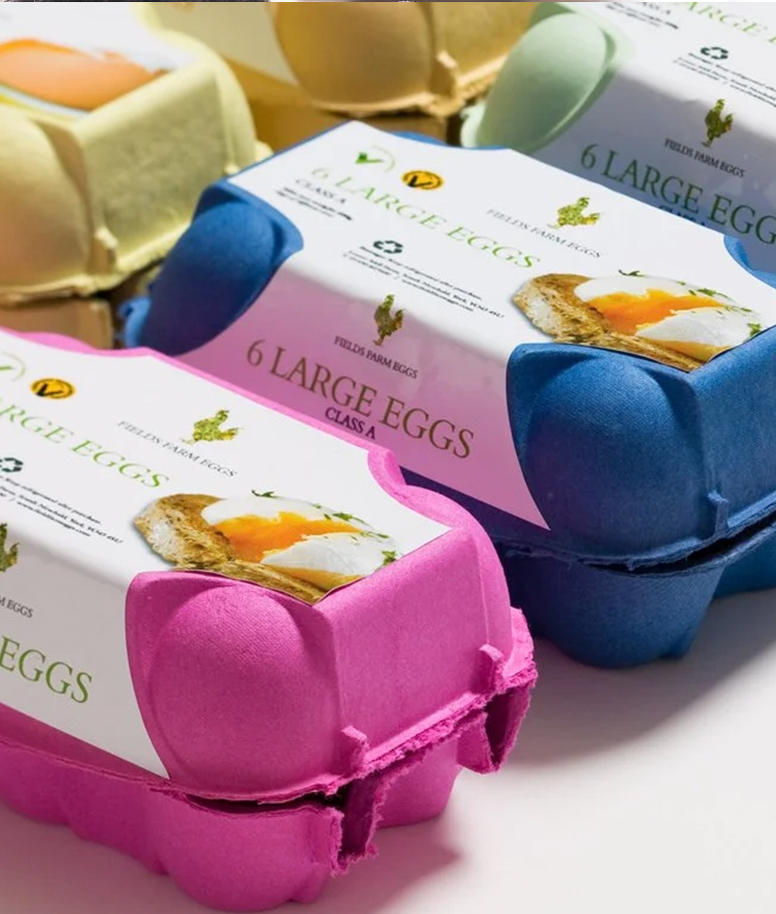Field farm eggs