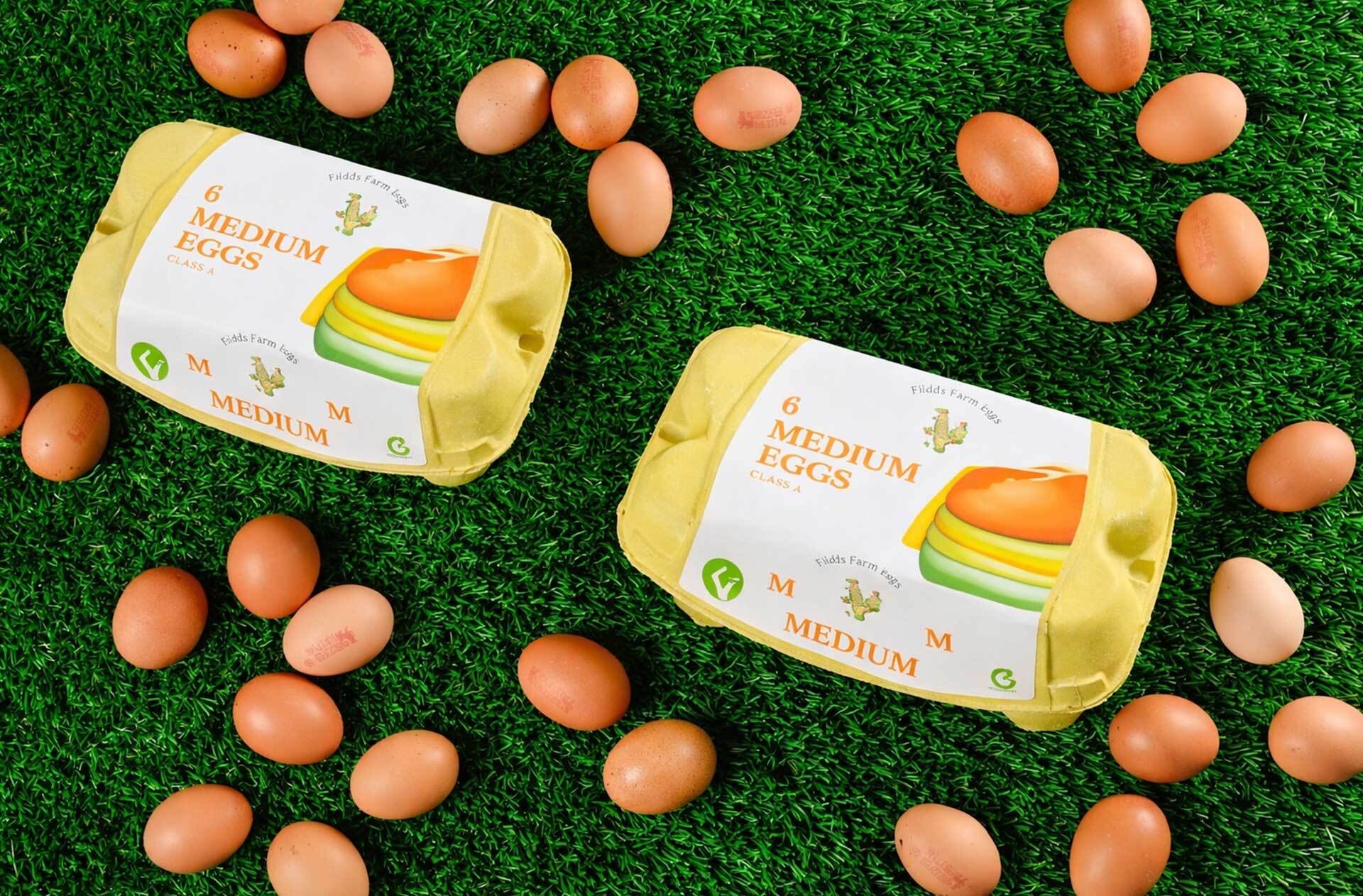Project Nutrition